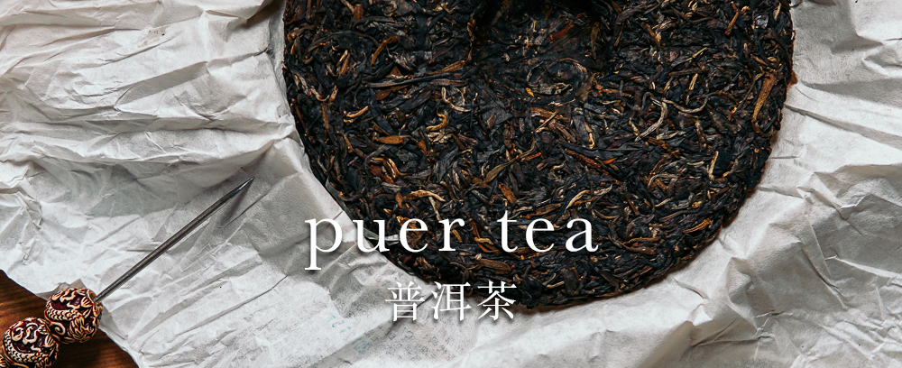 cover puertea_2 copy